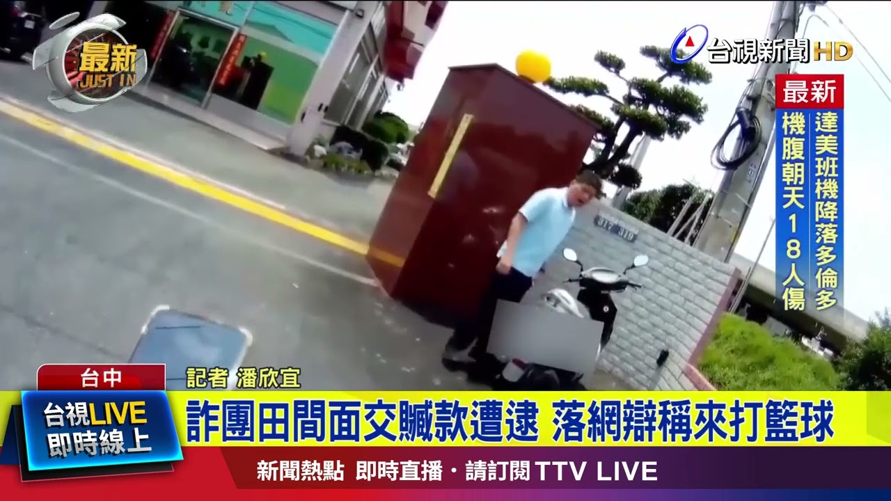 疑是猛龙的