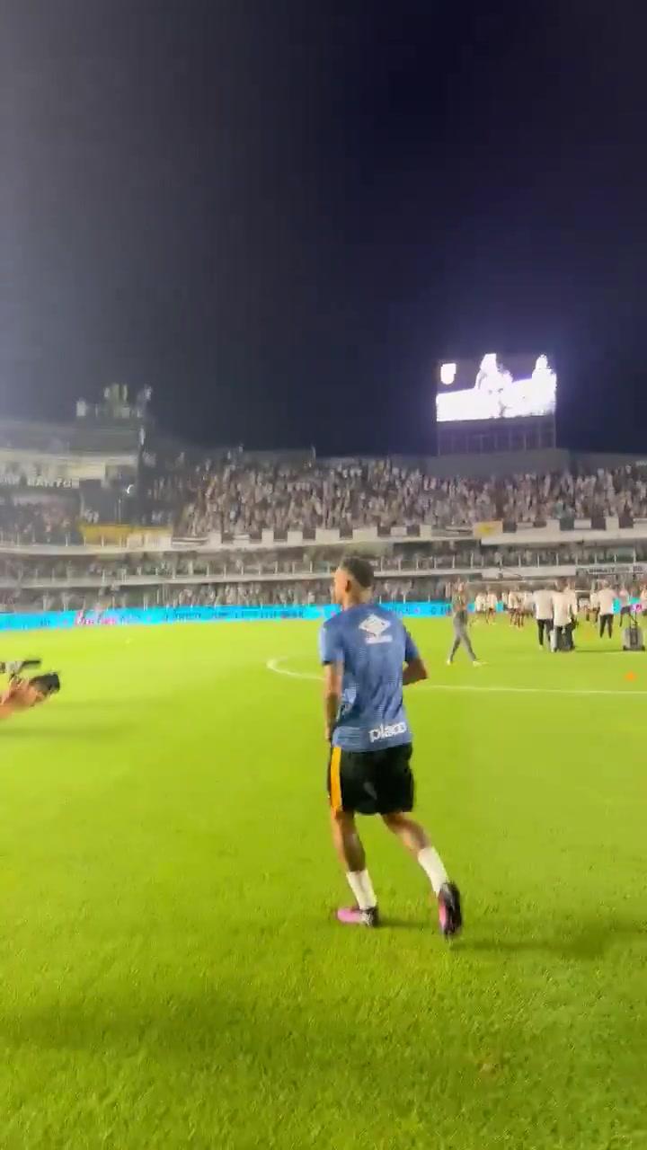 以及业内人